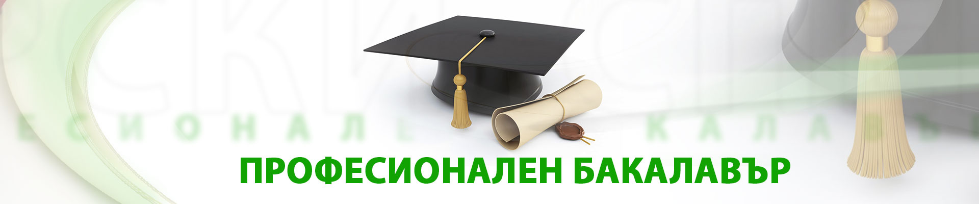Професионален бакалавър